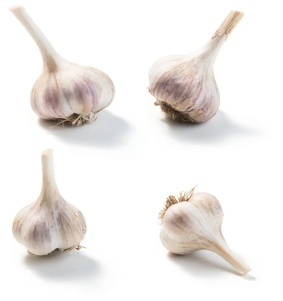 Garlic isolated on a white — Stock Photo, Image