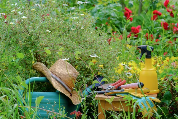 Kertész eszközök — Stock Fotó