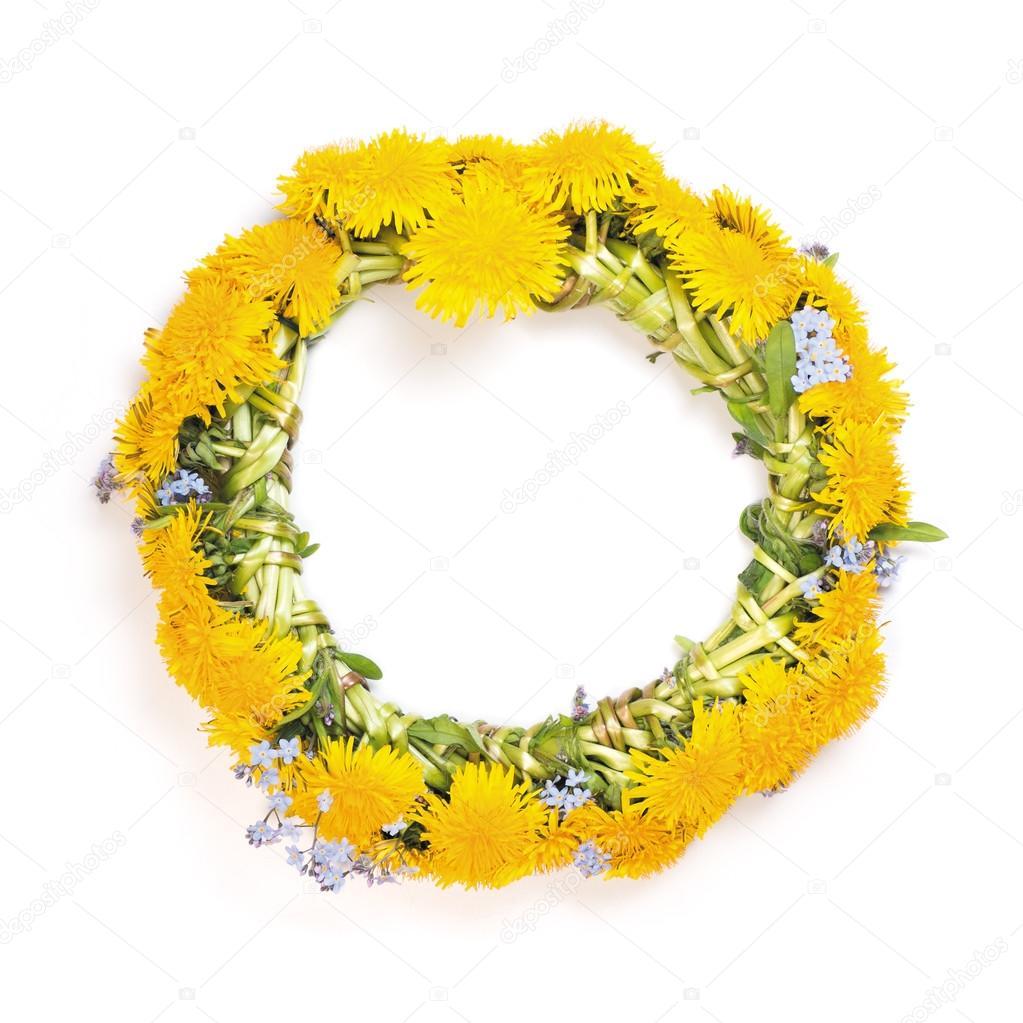 dandelion wreath on a white