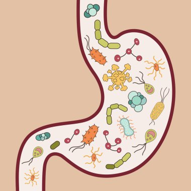 Human stomach with viruses and bacteria clipart