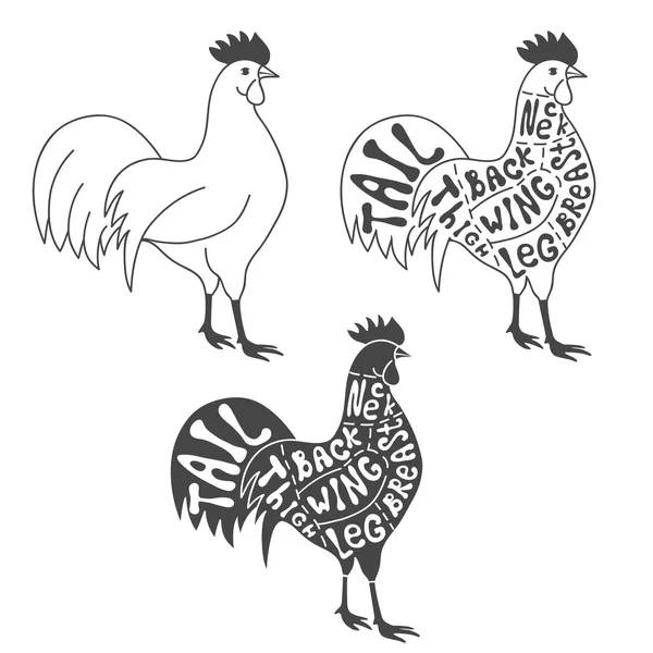 Cortes de carnicero esquema de pollo — Vector de stock