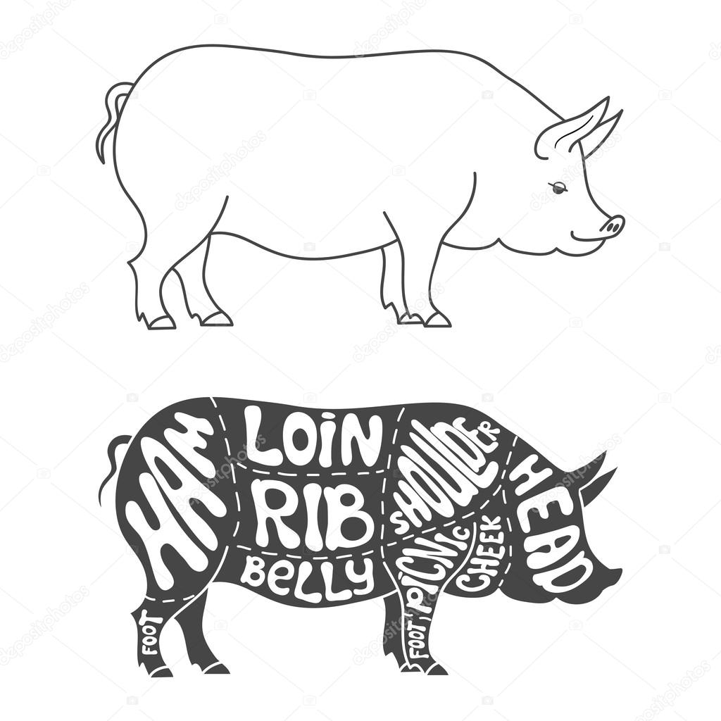 Pork cuts diagram