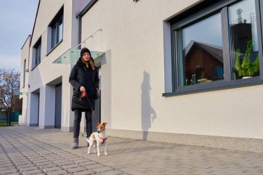 Modern konutun yanındaki kaldırımda tasmalı küçük köpeği gezdiren bir kadın. Günlük hayvan bakımı kavramı