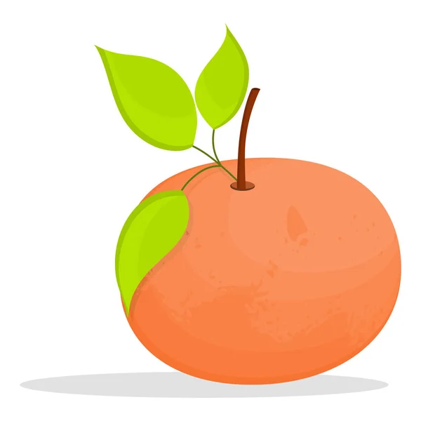 Tangerine, fehér alapon elszigetelt levelekkel. Téli gyümölcs, lédús és érett citrusfélék. Vektor illusztráció lapos stílusban.. — Stock Vector