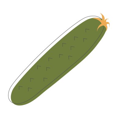 Fresh green cucumber, healthy vegetable. Vegetarian organic natural food. Fashionable modern flat colorful collection. Vector illustration in a flat linear style. Healthy food.
