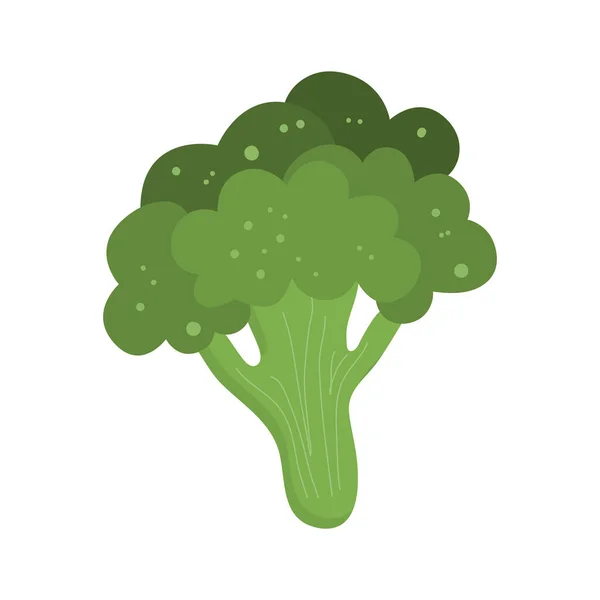 Stjälken grön broccoli är isolerad. Keto-vänlig kost. Vektor illustration av mat i platt stil. Broccoli för ketodieten och rätt kost. — Stock vektor