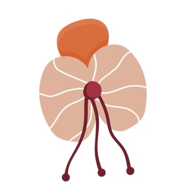 Yakın mesafedeki nonoş çiçeği, beyaz arka planda izole edilmiş. Düz boho tarzında vektör illüstrasyonu.