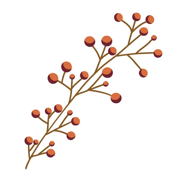 Gypsophila é isolado em fundo branco. Um ramo em estilo boho plana para o design de jóias, cartões e convites. Ilustração vetorial de flores de gypsophila. —  Vetores de Stock