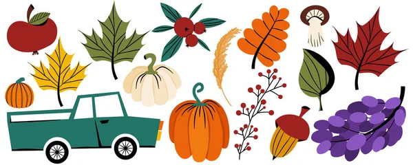 Autumn Thanksgiving holiday, vector clipart in flat style. A set of vegetables and fruits for autumn designs. A car with trunk. Different leaves and stems