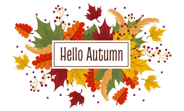 Vector composition with autumn leaves, text hello autumn. Colorful maple, ash leaves with rowan berries and wheat dots and a place for text