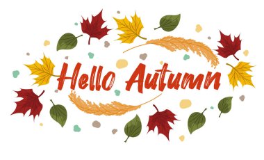 Sonbahar yapraklı vektör kompozisyonu, sonbahara merhaba mesajı at. Renkli akçaağaç, yaban mersinli kül yaprakları ve buğday noktaları ve yazı yazılacak bir yer.