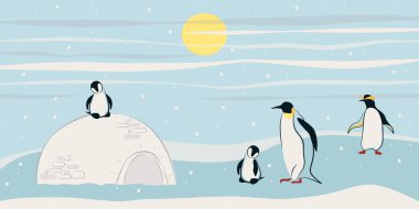 Penguen sürüsünün bayrağı. Penguenler ebeveyn ve piliçtir. Antarktika 'nın manzaraları. Vektör illüstrasyonu