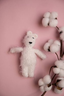 Oyuncak ve çiçekli yeni doğmuş giysiler fotoğraf için güzelce katlanmış bir konumda.