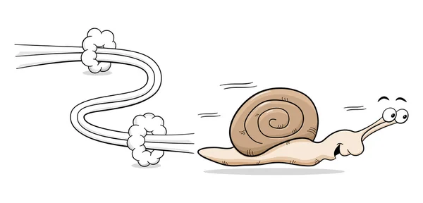 Caracol veloz — Vector de stock