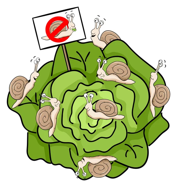 Caracoles comiendo lechuga — Vector de stock