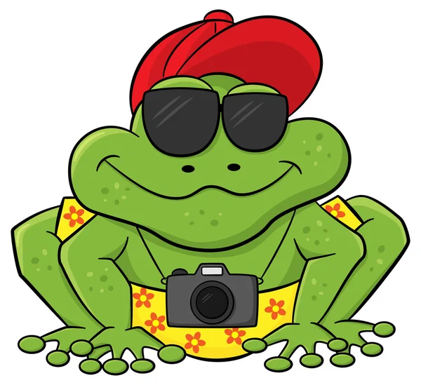 作为一个旅游带照相机和太阳镜的青蛙 — 图库矢量图片