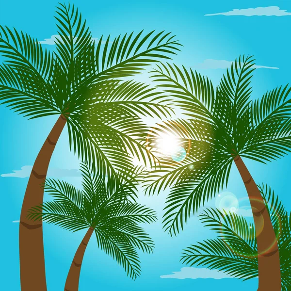 Gökyüzü mavi palmiyeli plaj manzarası