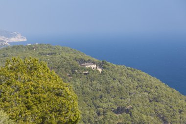 Yeşil kıyı orman tepe