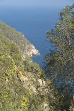 Yeşil kıyı bir manzara uçurumlarda