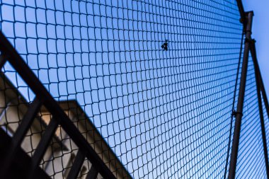 Mavi gökyüzü arka plan ile bir hapishane duvarda metal web