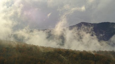 Kışın yağmur ormanlarında büyüyen bulutlar dağ ormanlarının zirvesi.