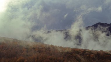 Soğuk bir orman dağının zirvesinde büyüyen bulutlar kış manzarası.