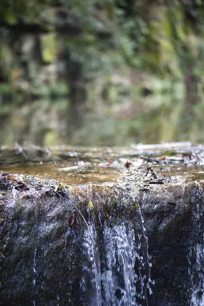 Spring water falling from a rock waterfall