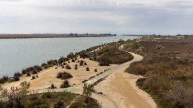 Delta de l 'Ebre, Katalonya' da kumlu bir kıyı şeridinde küçük bir yol.