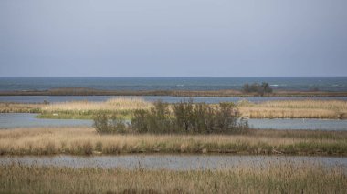 Delta de l 'Ebre, Katalonya' da deniz suyu, göl ve göl manzarası