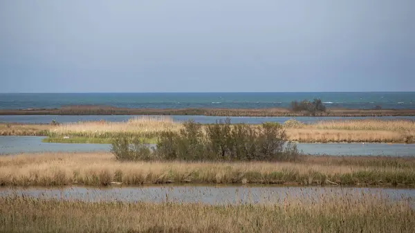 加泰罗尼亚Delta Ebre有海水 湖泊和泻湖的平原海岸景观 — 图库照片