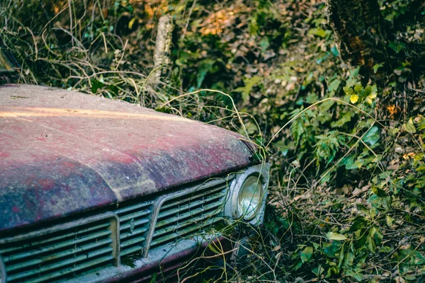 Rozsdás Öreg Elhagyott Autó Egy Zöld Erdő Táján — Stock Fotó