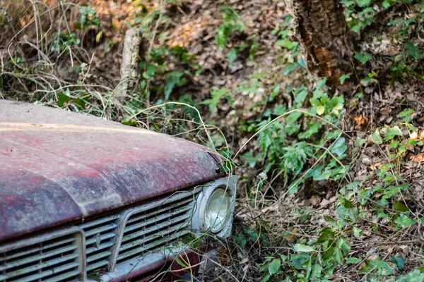 Rozsdás Öreg Elhagyott Autó Egy Zöld Erdő Táján — Stock Fotó