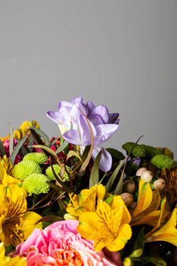 Gri bir arka planda izole bir çiçek buketinde farklı renklerde pek çok çiçek vardır.
