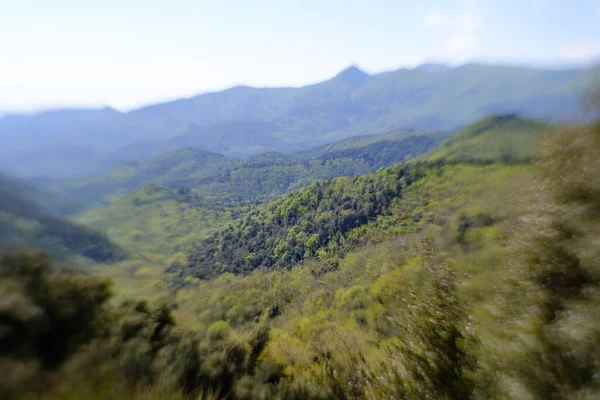 カタルーニャ州モンセニーの晴れた日に焦点をティルトシフトと山の頂上から緑の山の森の風景 — ストック写真