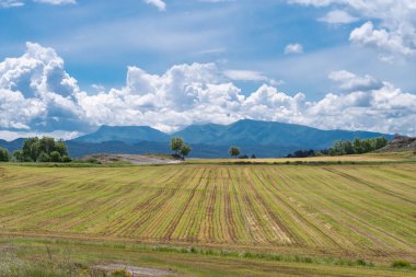Mavi gökyüzünde yeşil kırsal alan manzarası