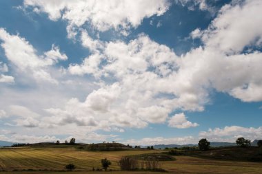 Yazın yeşil ve sarı tarımsal arazi üzerinde bulutlu bir gökyüzü