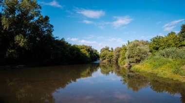 Mavi güneşli gökyüzünün altındaki yeşil bir ormanın üzerinde geniş nehir suyu manzarası
