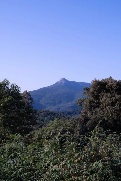 Montseny Katalonya Koyu Mavi Bir Gökyüzünün Altındaki Yeşil Bir Ormanın — Stok fotoğraf