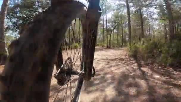 Road Front Wheel Point View Mountain Bike Riding Forest — Αρχείο Βίντεο