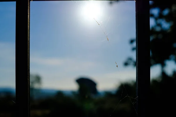 Teia Aranha Uma Janela Aberta Fundo Azul Enevoado Natureza — Fotografia de Stock