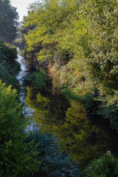 Blauw Zoet Bronwater Rivierbeeklandschap Omgeven Door Groene Kruiden Weerspiegeld Water — Stockfoto