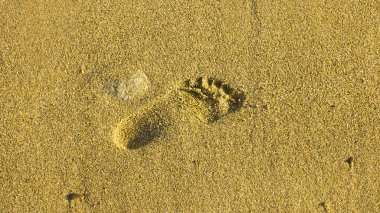 kum üzerinde ayak sesi