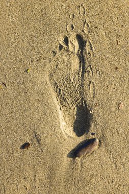 kum üzerinde ayak sesi