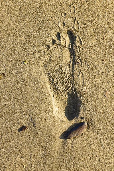 kum üzerinde ayak sesi