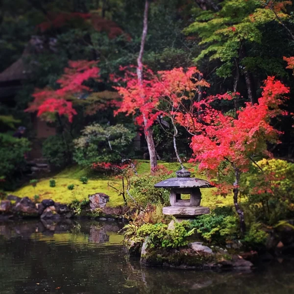 Jardín zen japonés — Foto de Stock