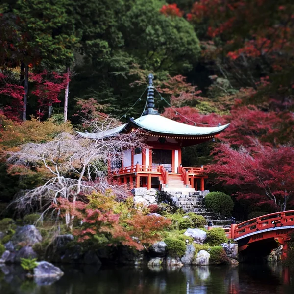 Őszi japán Zen templomban — Stock Fotó