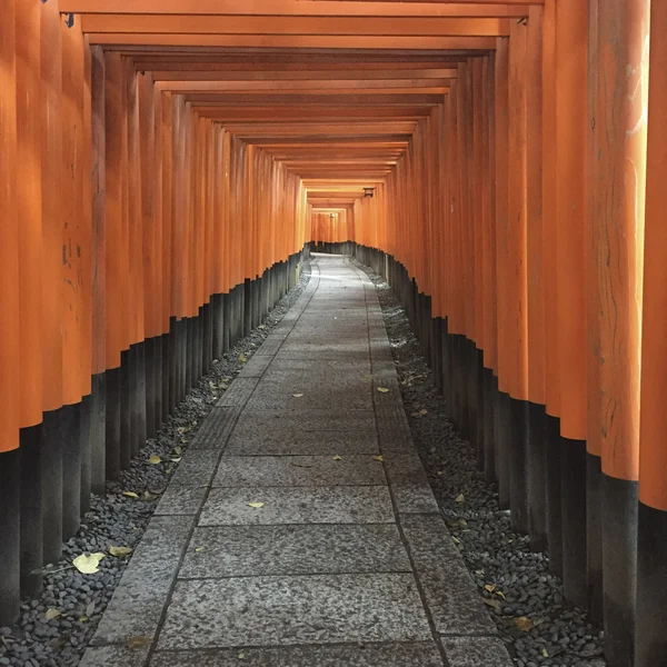 Fushimi Inari tapınak yolu