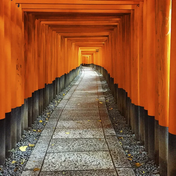 Fushimi Inari Santuário caminho — Fotografia de Stock