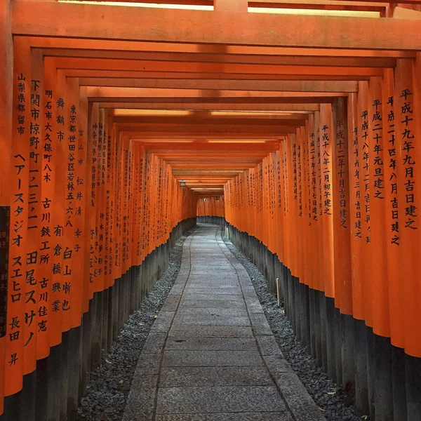 Fushimi Inari szentély elérési útja — Stock Fotó