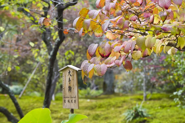 Jardin d'automne japonais — Photo